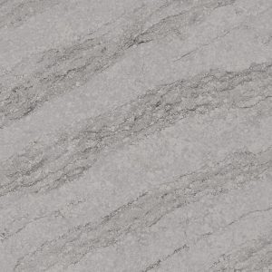 Pacific Grey