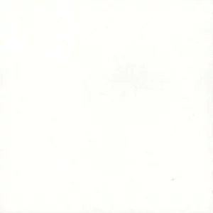 Bianco Assoluto C