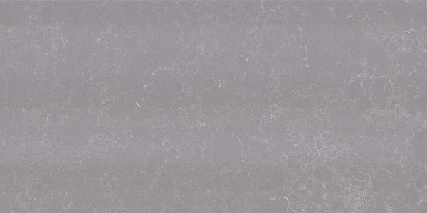 Elegant Grey
