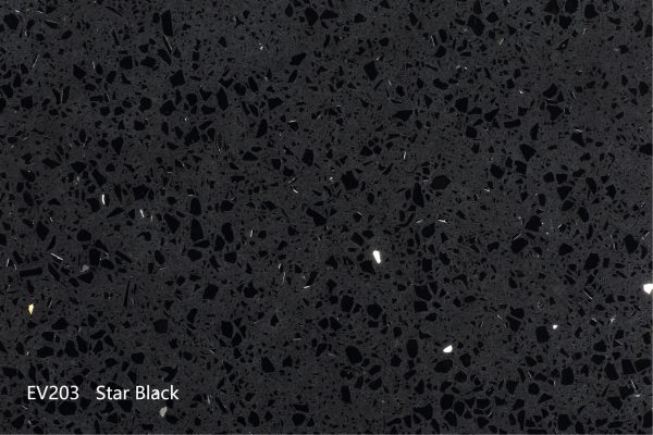 EV203 Star Black