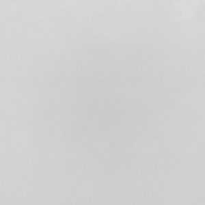 EV226 White Shimmer