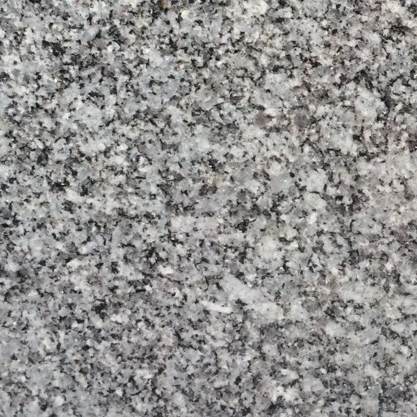 Alma Grey