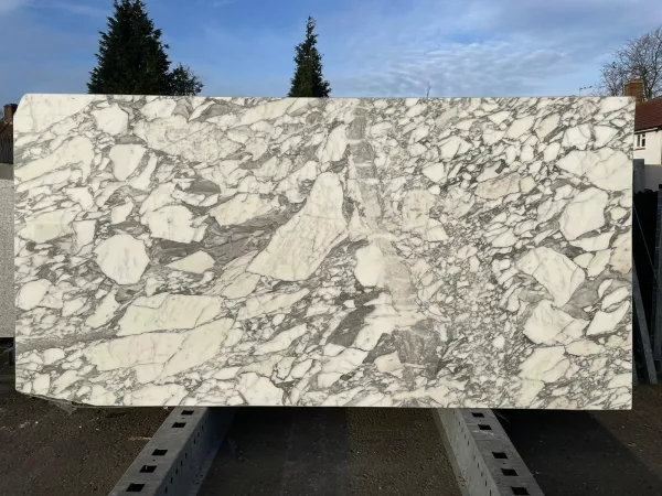 Arabescato Corchia – 23554