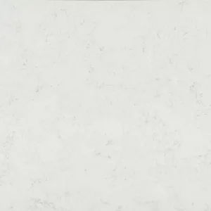 Carrara Super Jumbo