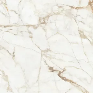 Calacatta Gold