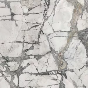 Invisible White