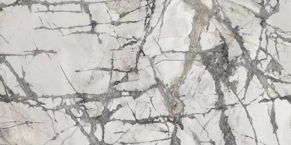 Invisible White