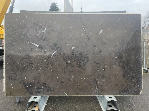 Moroccan Brown Fossil – 197(slab 1)