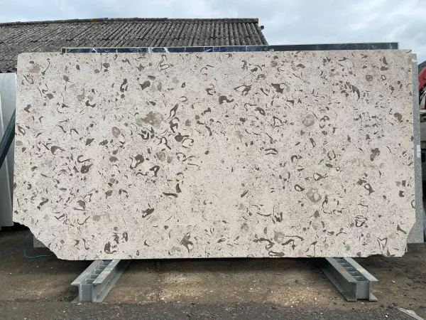 Sea Bed – 5203
