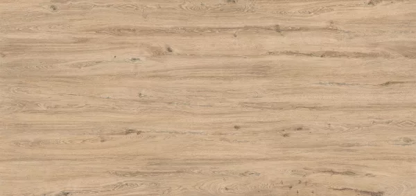 Sapien Stone – Rovere Buckskin