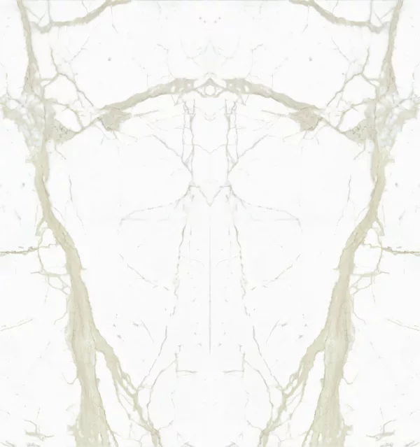 White Calacatta – Book Matched